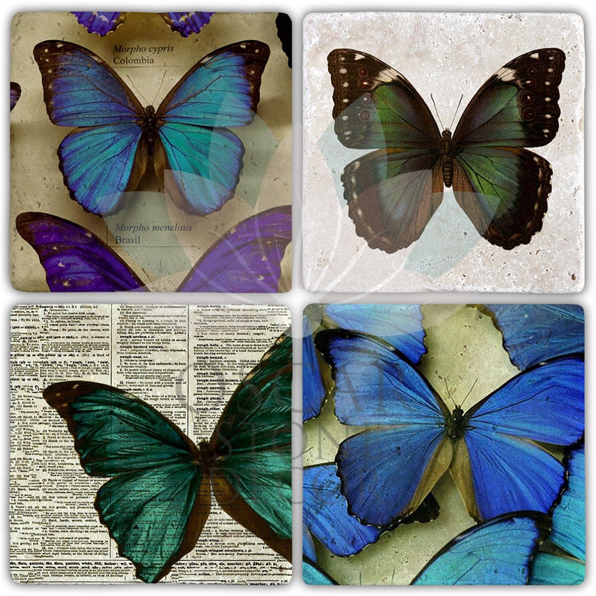 OSCAR STONE DECOR KELEBEĞİN ÖMRÜ 4'lü DOĞALTAŞ BARDAK ALTLIĞI / BA402 (COASTER)