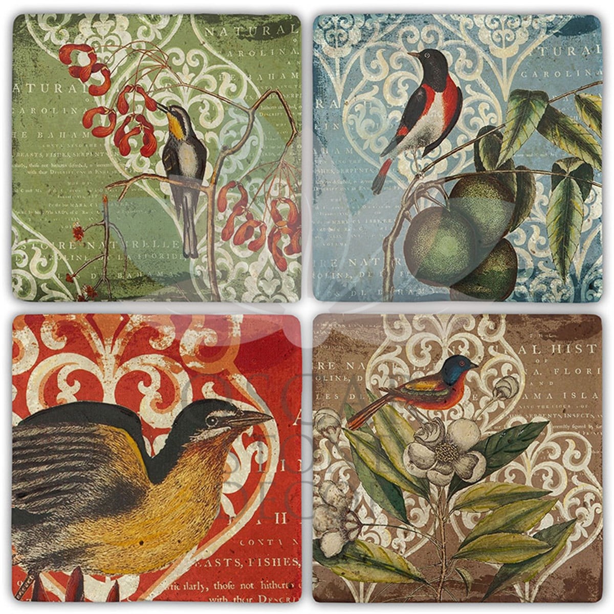 OSCAR STONE DECOR NATURAL BIRD 4'lü DOĞALTAŞ BARDAK ALTLIĞI / BA493 (COASTER)