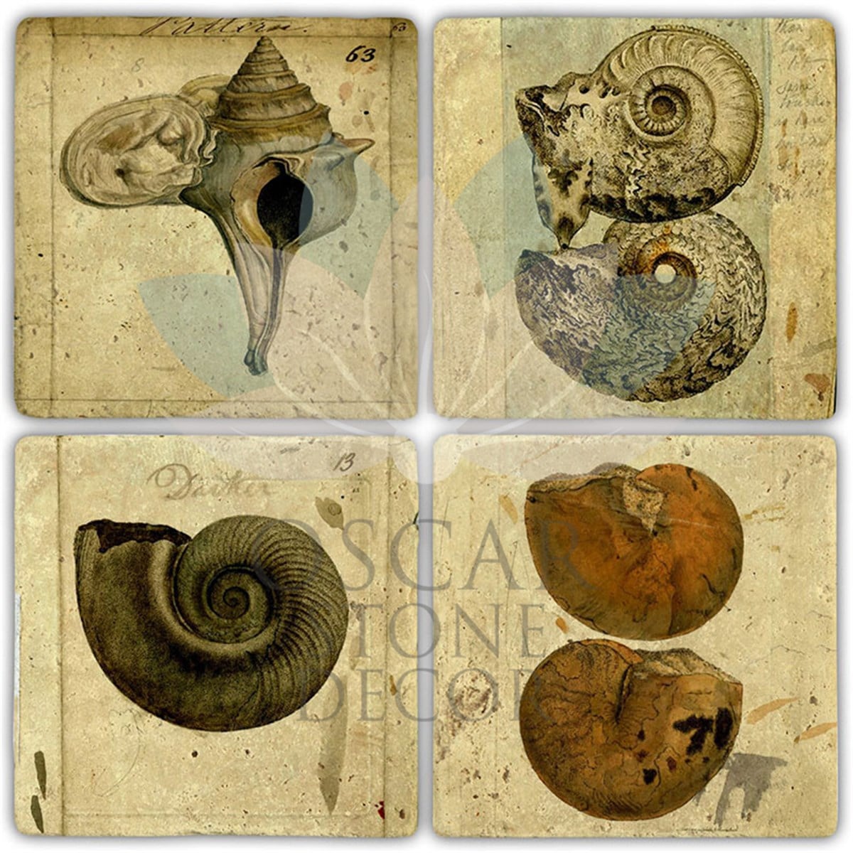 OSCAR STONE DECOR VINTAGE FOSIL 4'lü DOĞALTAŞ BARDAK ALTLIĞI / BA506 (COASTER)