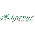 ZİGAVUS