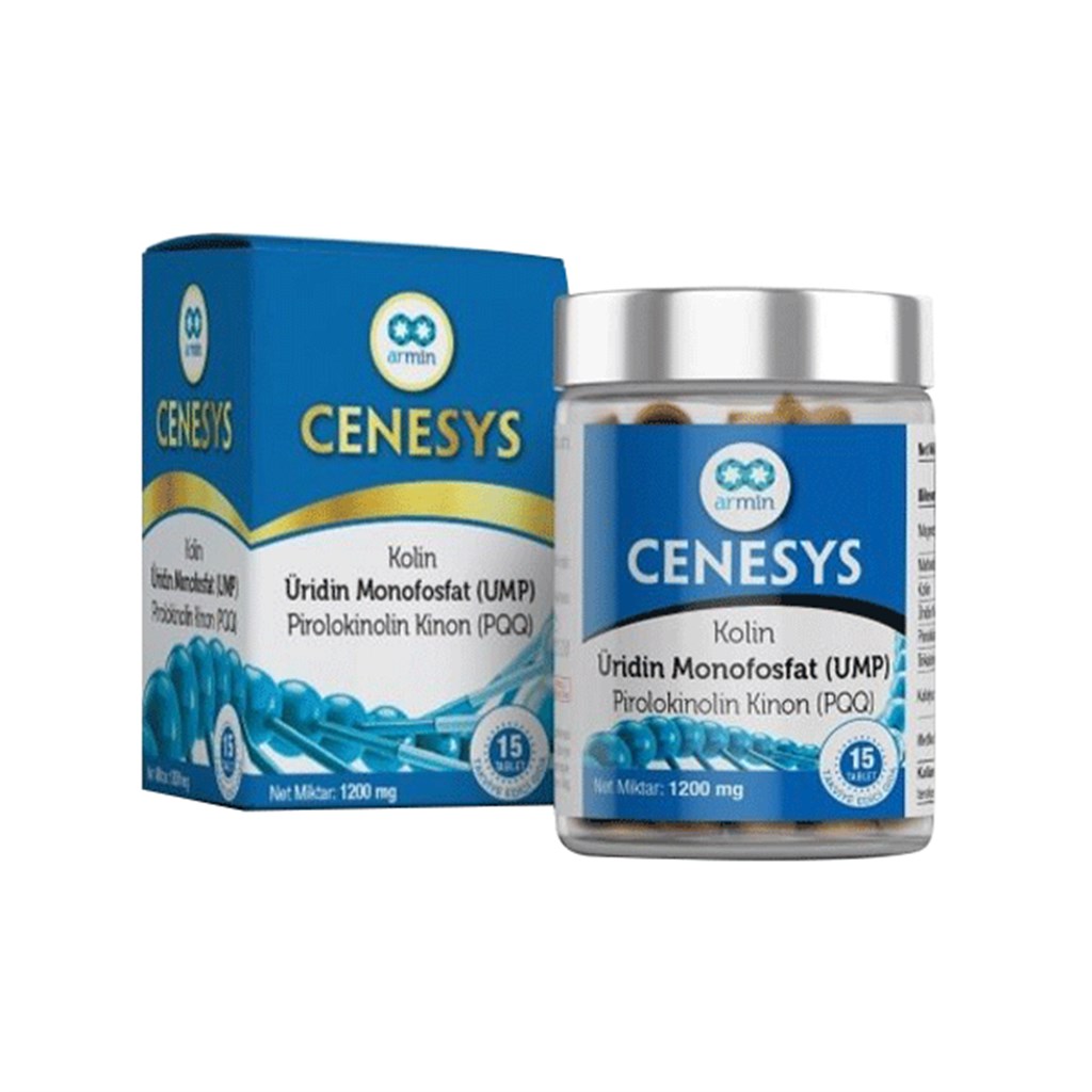 Armin Cenesys 15 Tablet