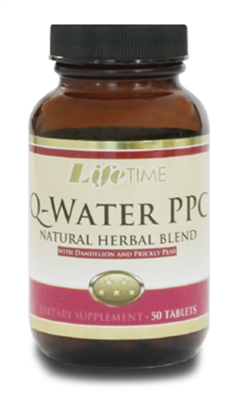 LİFETİME Q WATER PPC TABLET