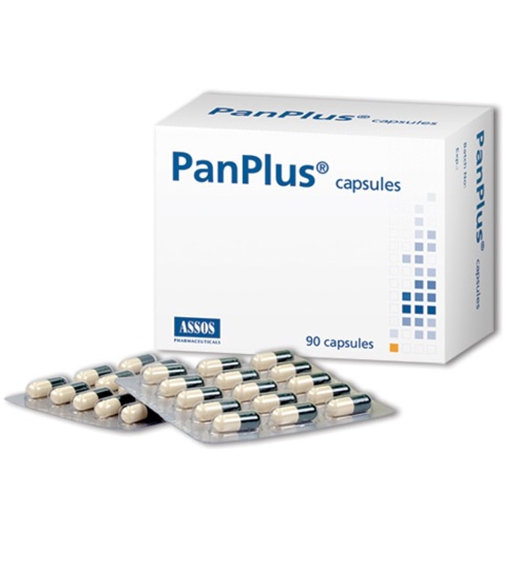 PAN PLUS 90 KAPSÜL