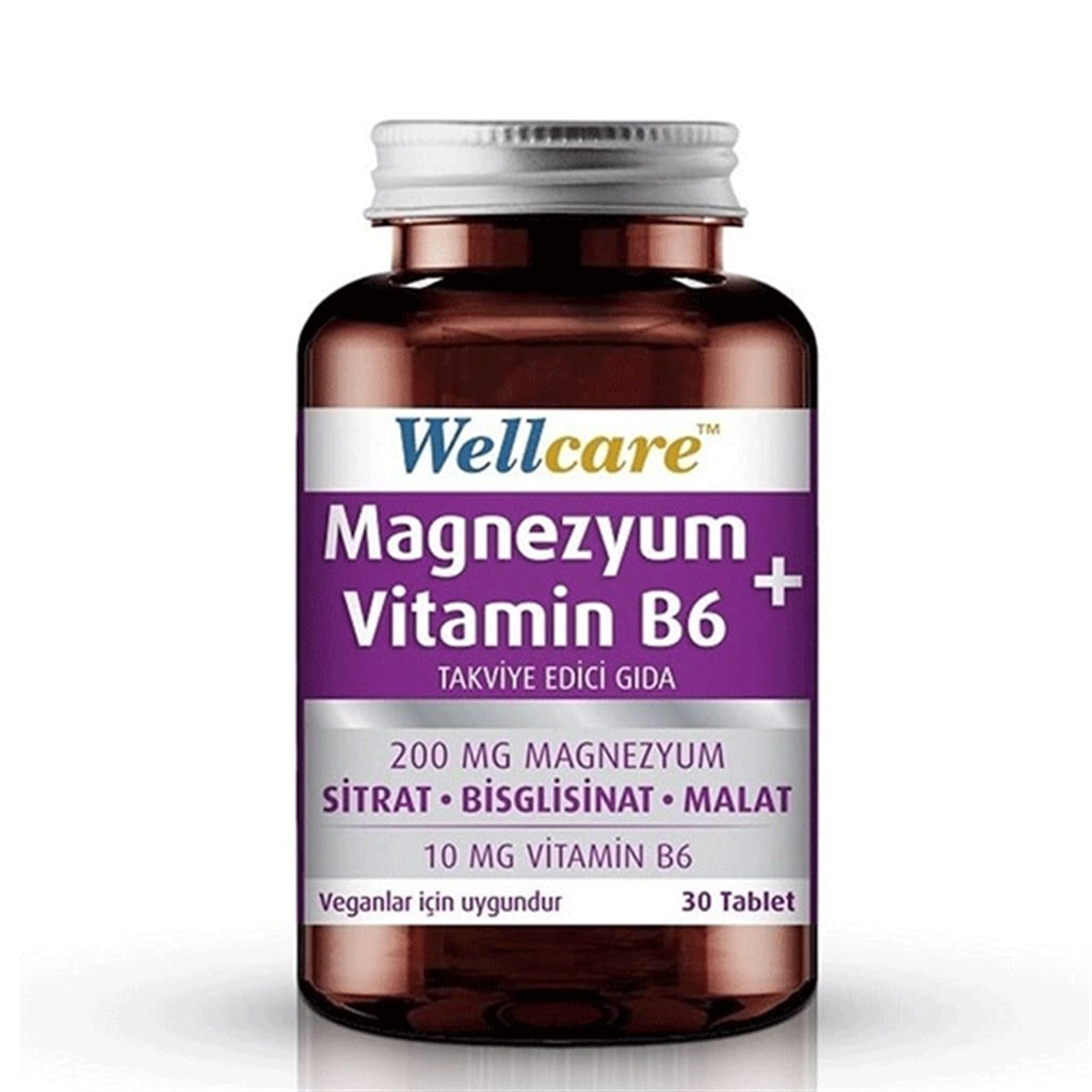 Wellcare Magnezyum+Vitamin B6 30 Tablet