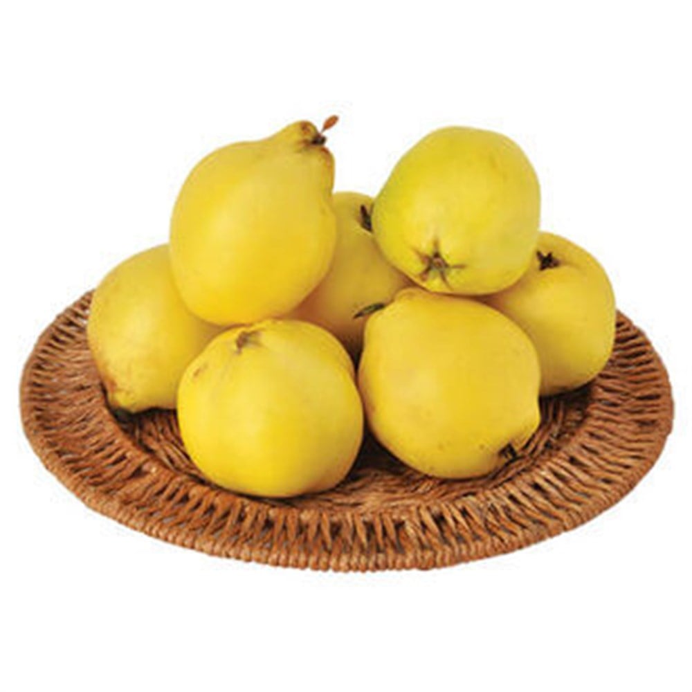 Ayva