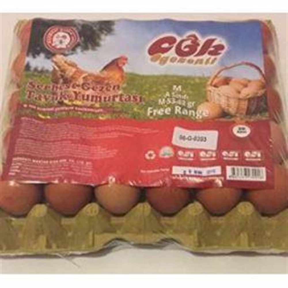 COK GEZENTI 30 LU YUMURTA