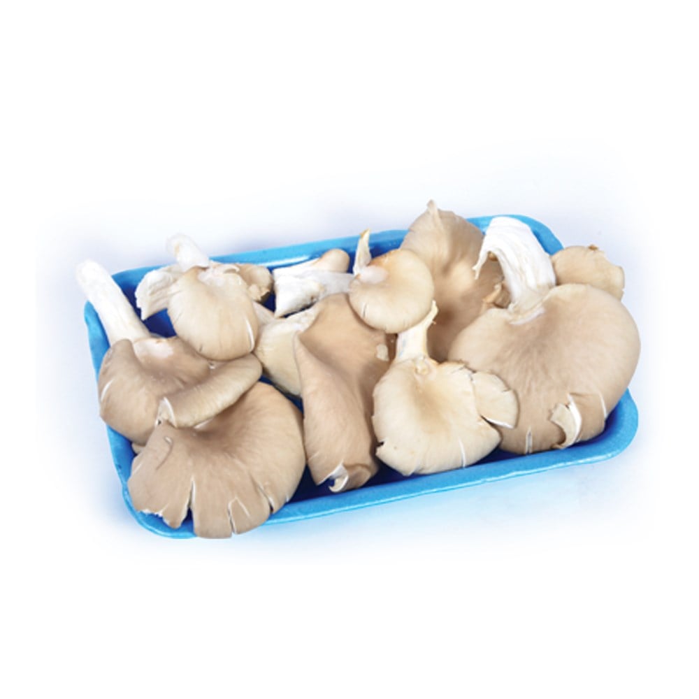 Mantar İstiridye 250 gr