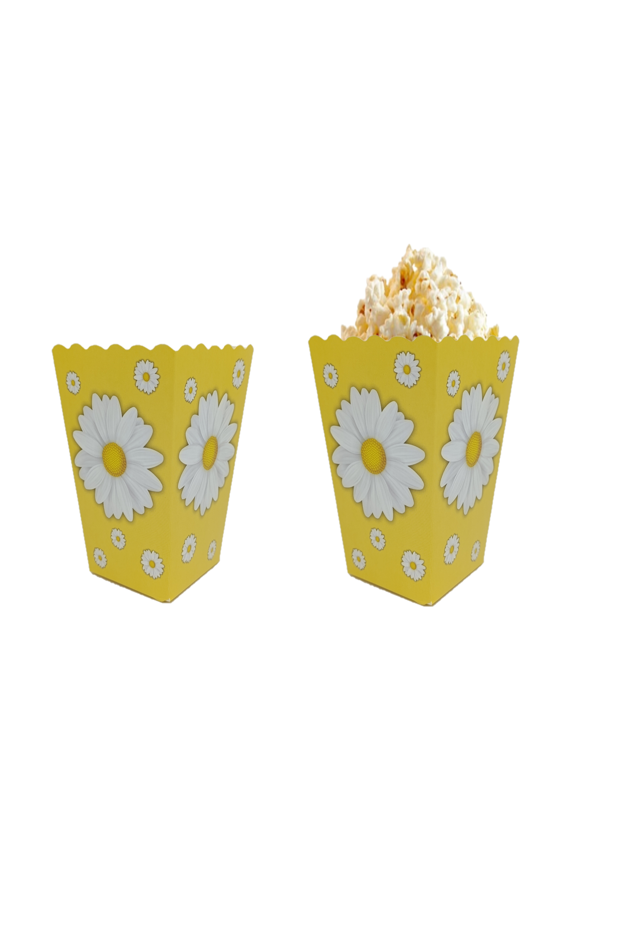 KBK Market Papatya Mısır Kutusu 8'li