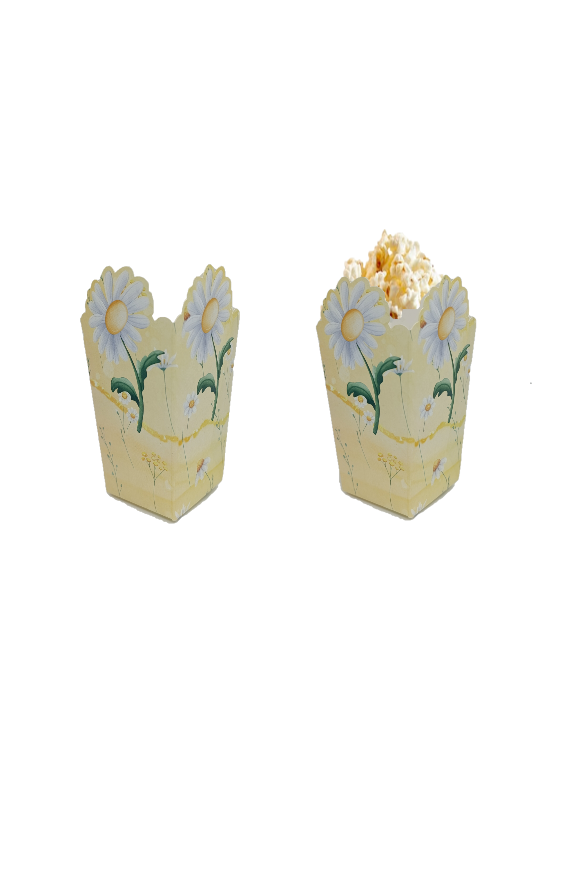 KBK Market Papatya Mısır Kutusu Özel Kesim