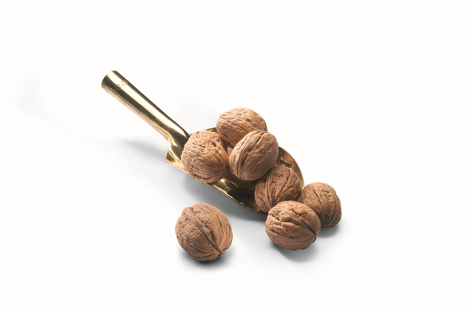 Shelled Walnuts Zippered Package