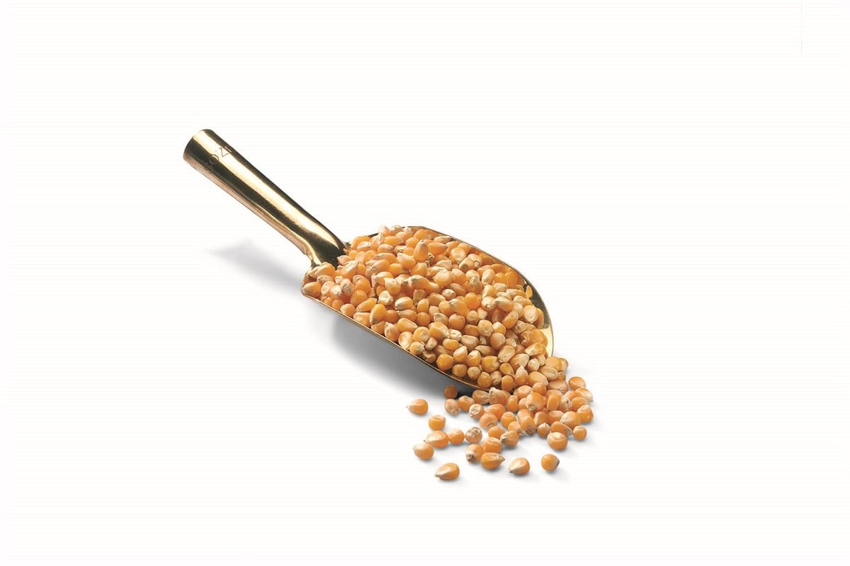 CİN MISIR PATLATMALIK 1000 GR