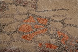 Kişiye Özel Halı Kişiselleştirilmiş Tasarım Halı FR20