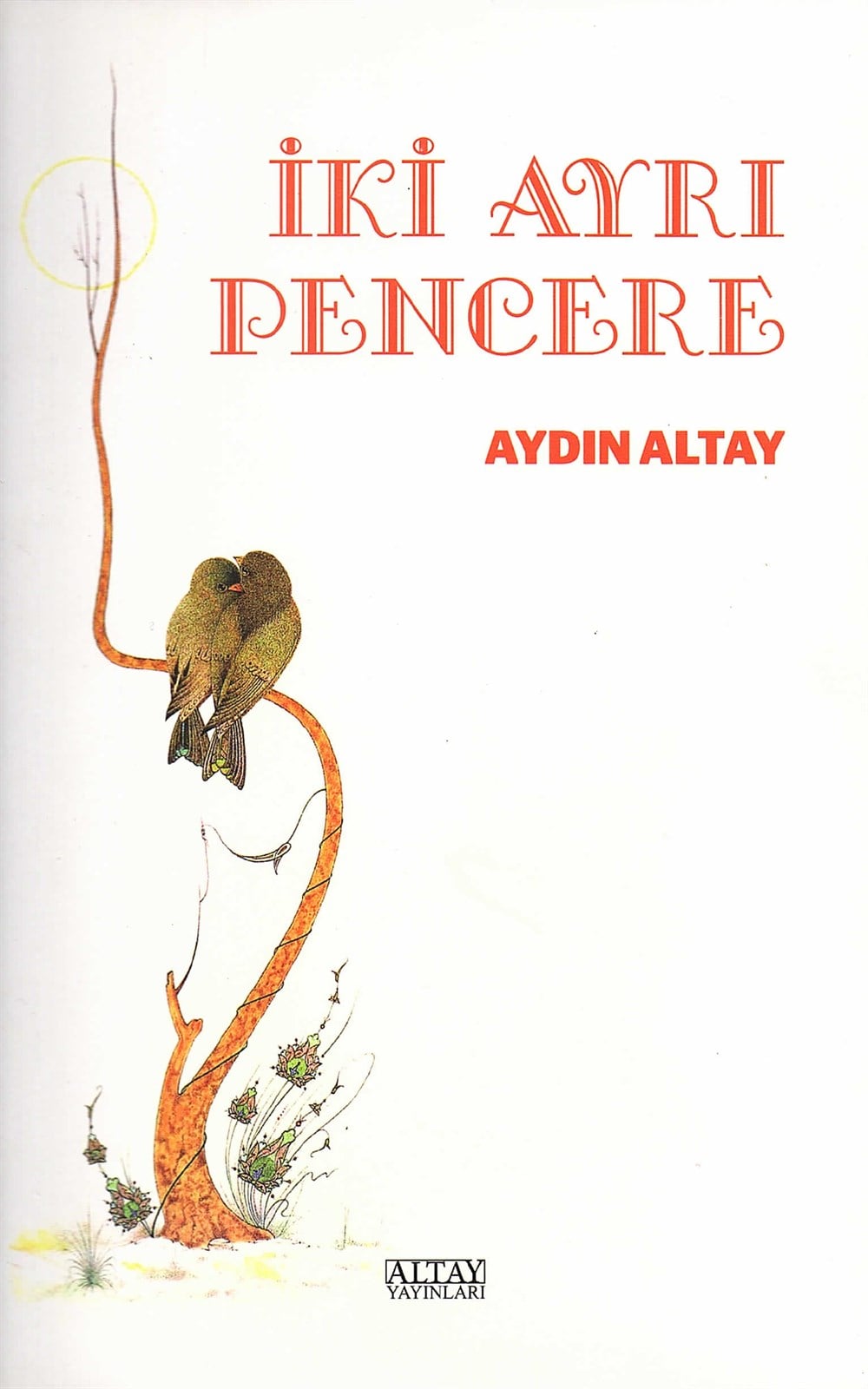 İki Ayrı Pencere