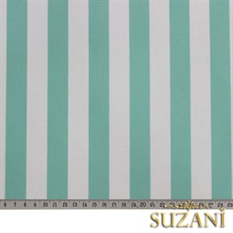 Mint İnce Çizgili Kumaş