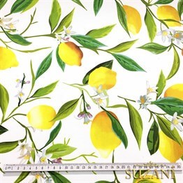 Beyaz Zemin Limon Desenli Kumaş