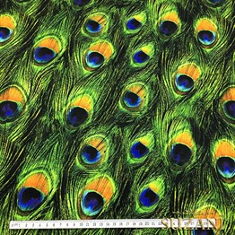 Tavus Kuşu Tüyü Desenli Kumaş