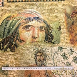 Zeugma Desenli Kumaş