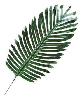 YAPRAK PALMİYE ARAJMAN ÇİÇEK PK:5 KL:100