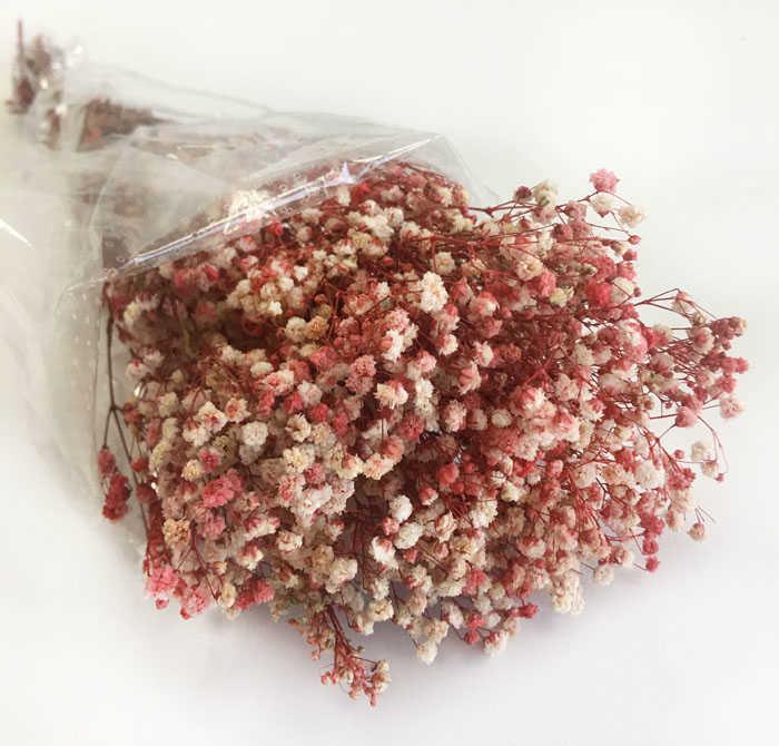 ÇİÇEK DOĞAL CİPSO PK:50 GR KIRMIZI KL:35