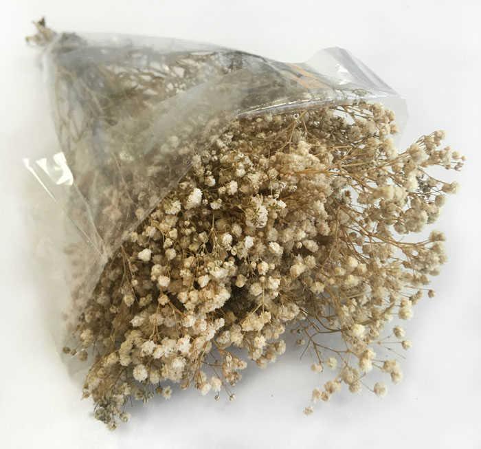 ÇİÇEK DOĞAL CİPSO PK:50 GR NATUREL KL:35