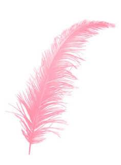 TÜY  PEMBE PK:100-KL:500