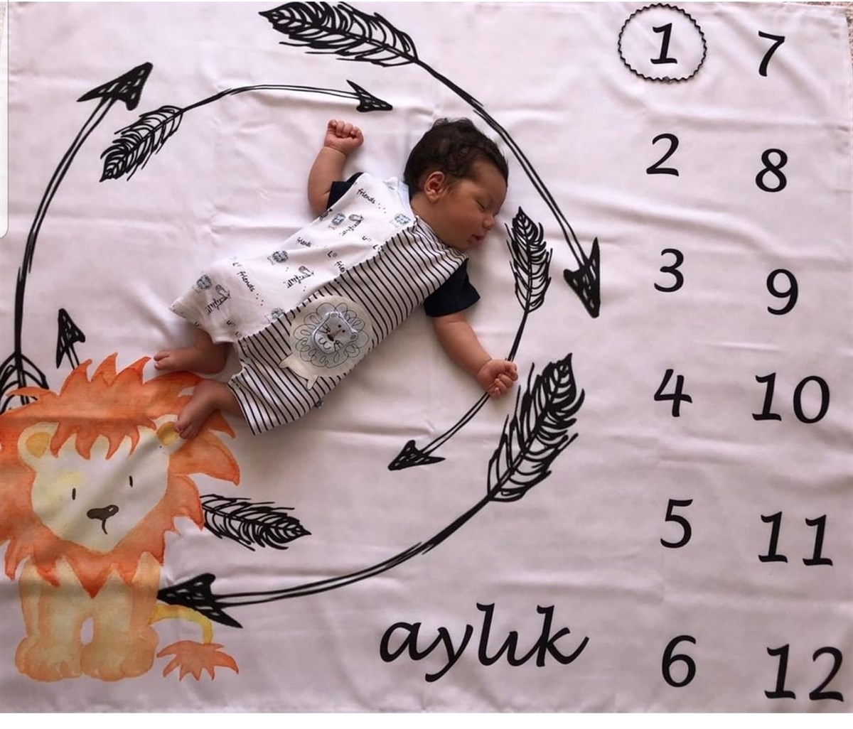 Sevimli Aslan / Aylık Fotoğraf Örtüsü