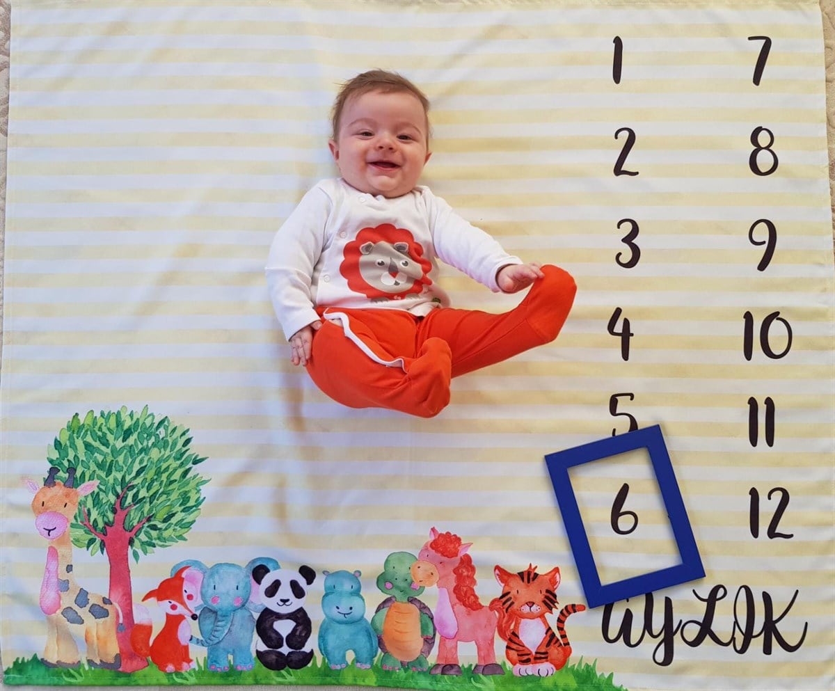 Zoo / Aylık Fotoğraf Örtüsü