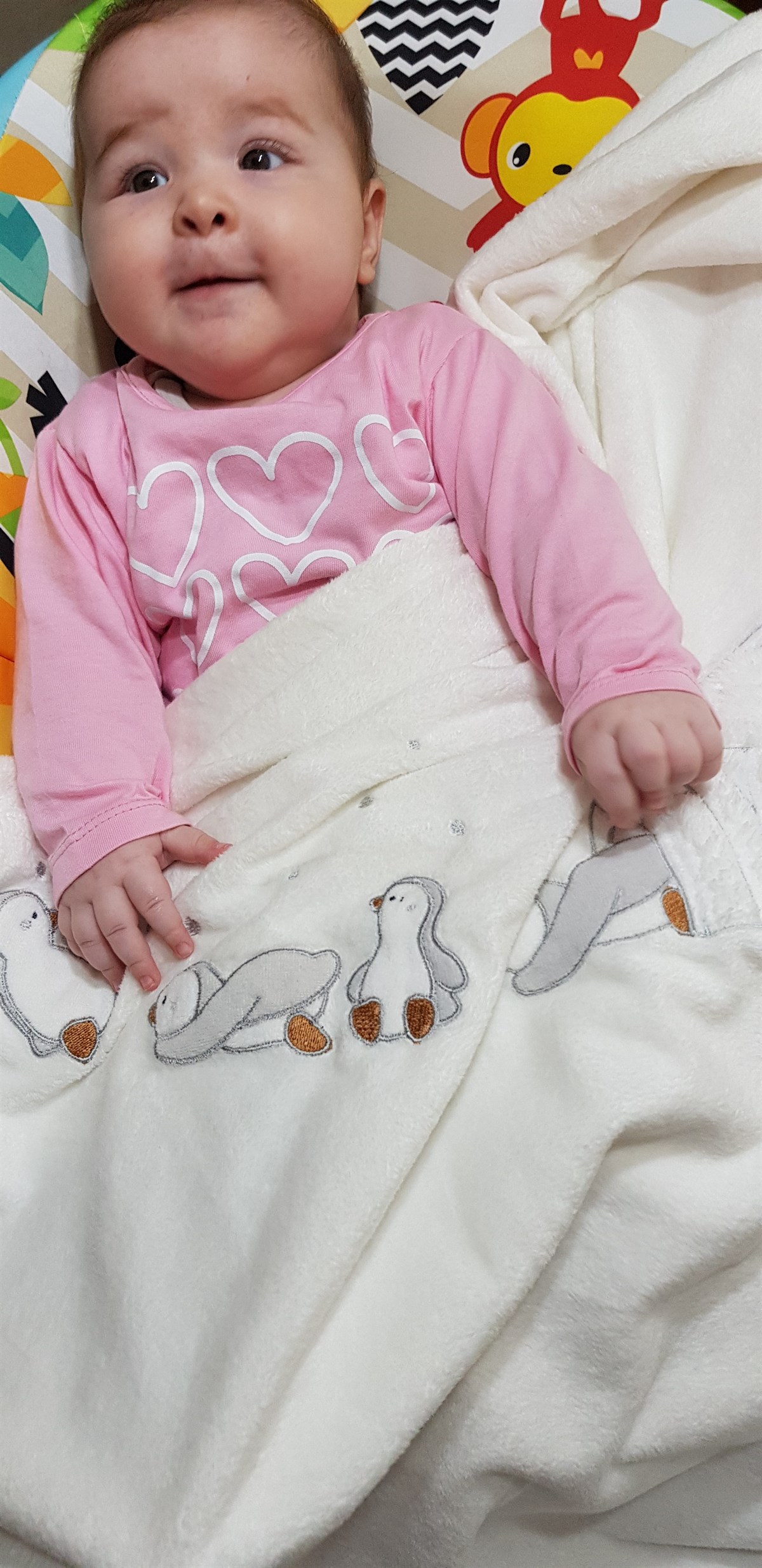 Battaniye Penguenli - 100x140 cm