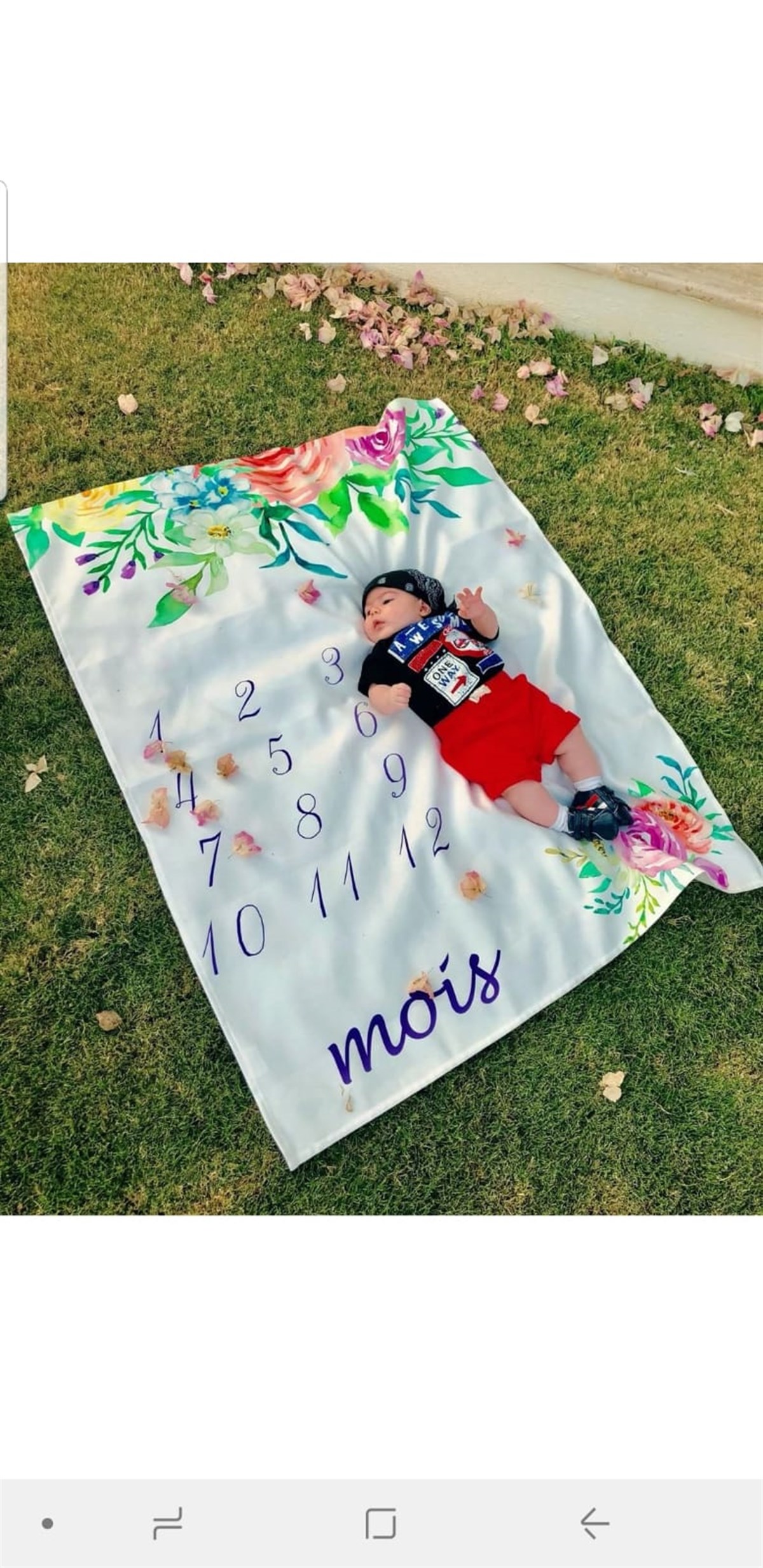 Fransızca Fotoğraf Örtüsü - Bahar