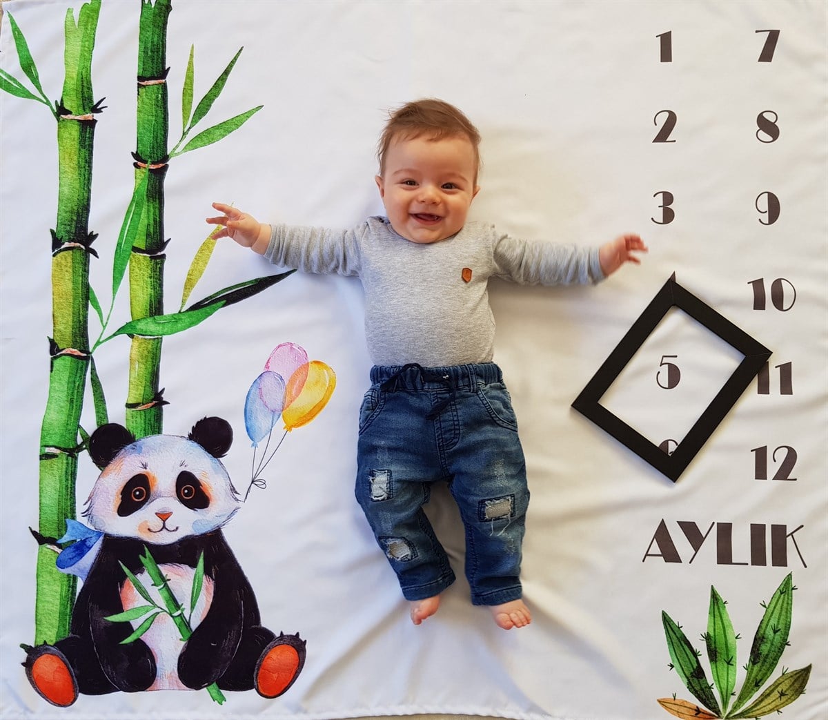Sevimli Panda / Aylık Fotoğraf Örtüsü