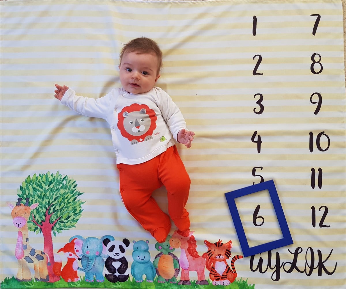 Zoo / Aylık Fotoğraf Örtüsü