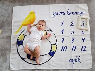 Milestone 8 Kanarya