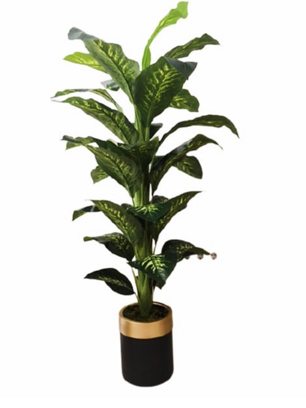  Yapay Cicek Yapay Agac Difenbahya 170 Cm