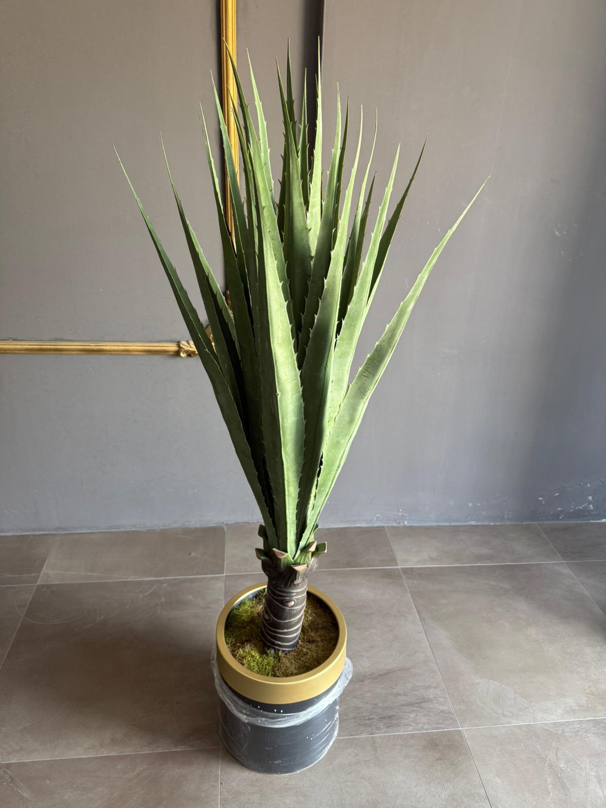 150 cm Yapay Aloe Vera Ağacı