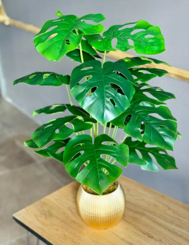 18 Yapraklı Deve Tabanı Çiçek Salon Çiçeği 70 Cm