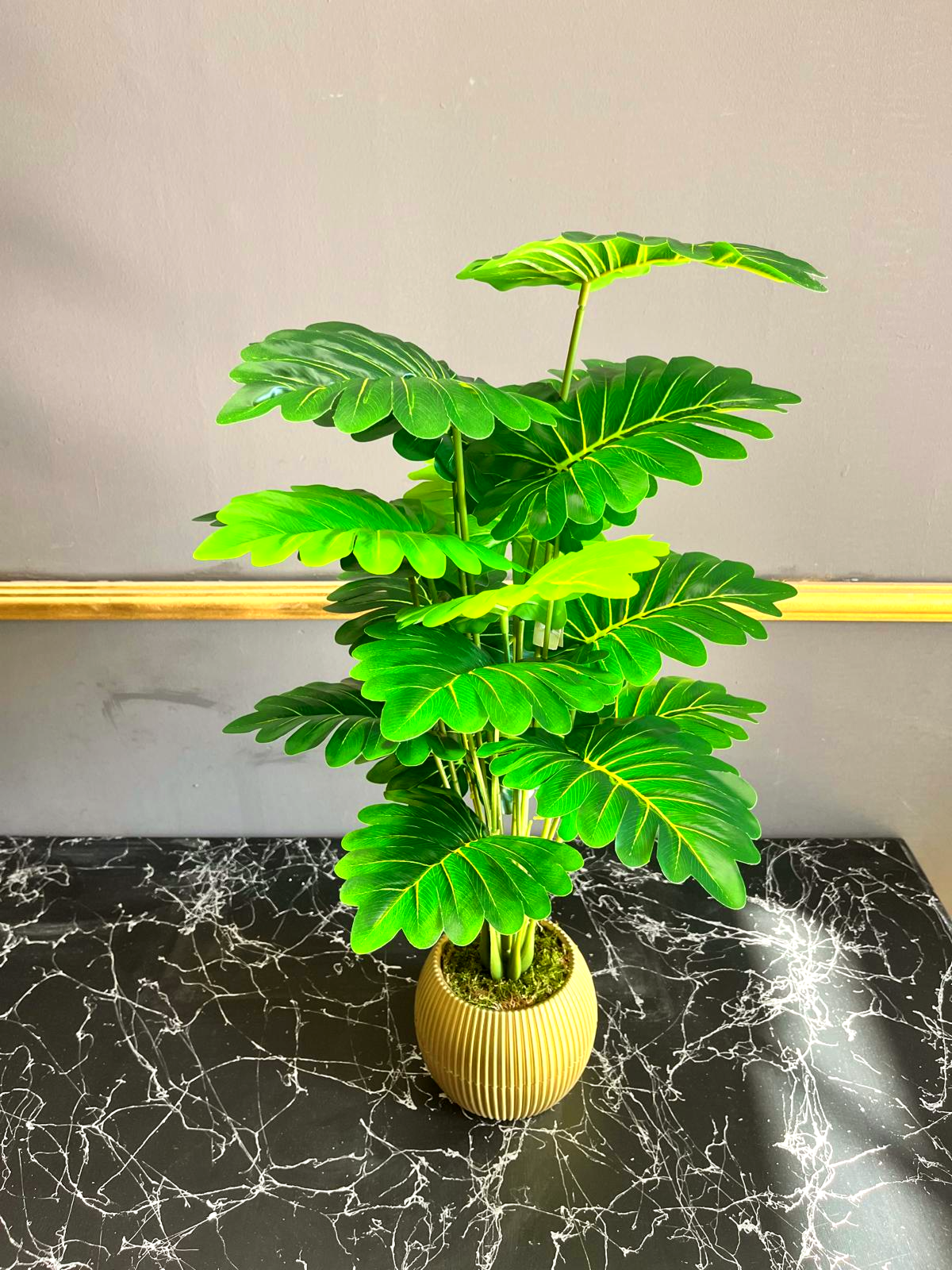 18 Yapraklı Syngonium Çiçek Salon Çiçeği 70 Cm