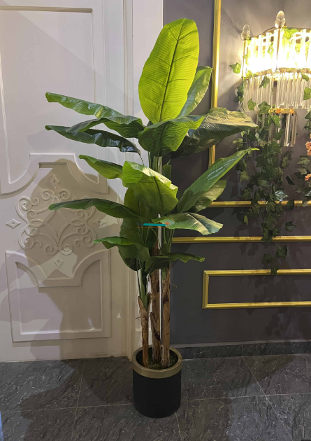 Metal Gold Siyah Saksılı 200 cm Yapay Muz Ağacı Yapay Ağaç