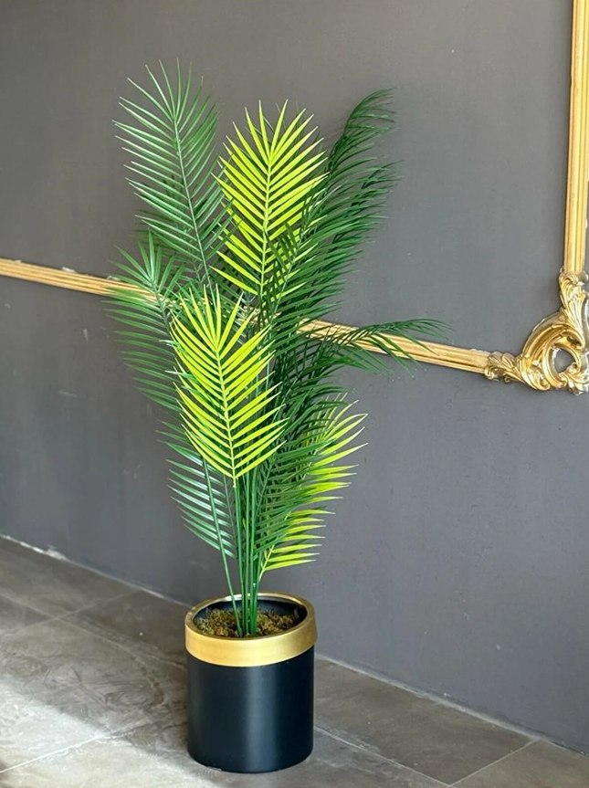 Orta Boy 160 CM Areka Ağaç 4 Gövdeli