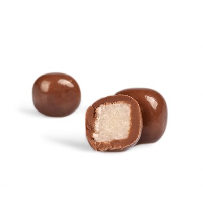 Çikolata Kaplı Hindistan Cevizli Draje (100 gr)