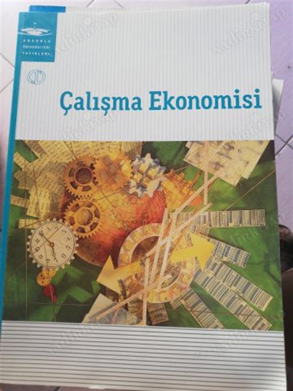 ÇALIŞMA EKONOMİSİ - AÖF - ANADOLU ÜNİVERSİTESİ - AÇIKÖĞRETİM FAKÜLTESİ