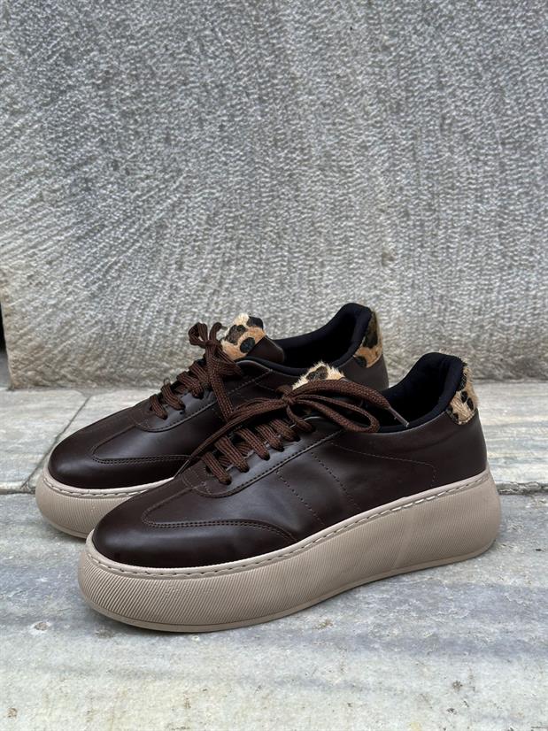 Kahve Cilt (Leoy) Leopar Bağcıklı Kadın Sneakers