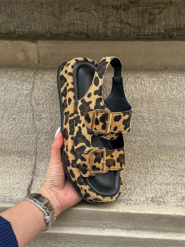 Leopar (Jenny) Gold Toka Detay Kadın Sandalet