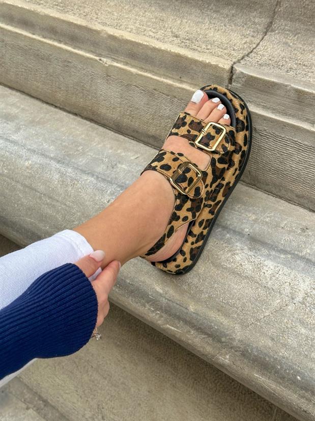 Leopar (Jenny) Gold Toka Detay Kadın Sandalet