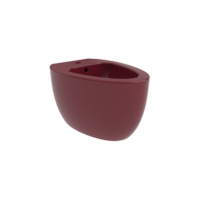 Bocchi Etna Asma Bide 54 cm P.Burgonya Bordosu