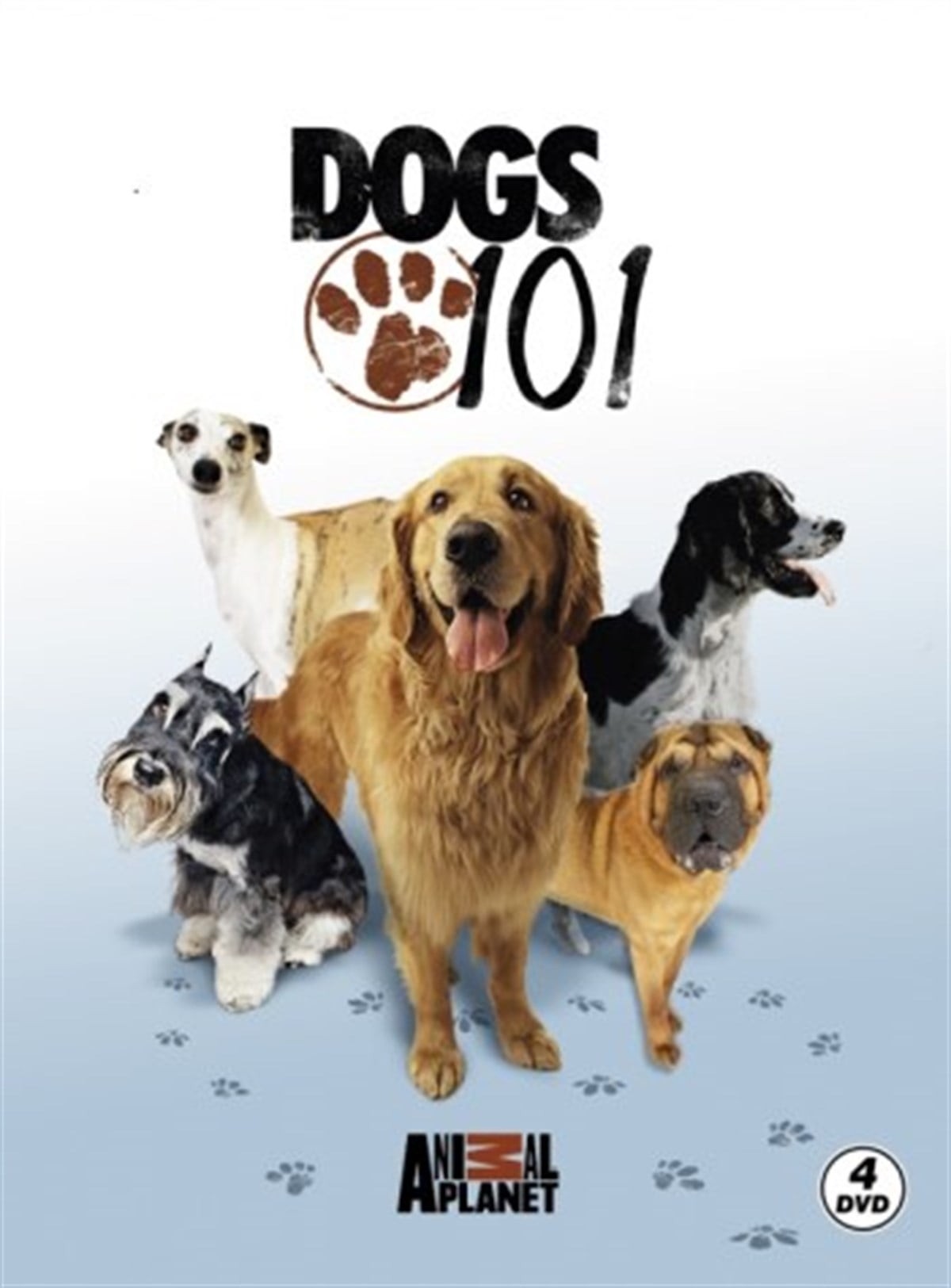 DOGS CAN’T SEE THE VIDEO+4CLIPS [DVD] DOGS CAN'T SEE THE VIDEO+4CLIPS [DVD] 【公式通販】