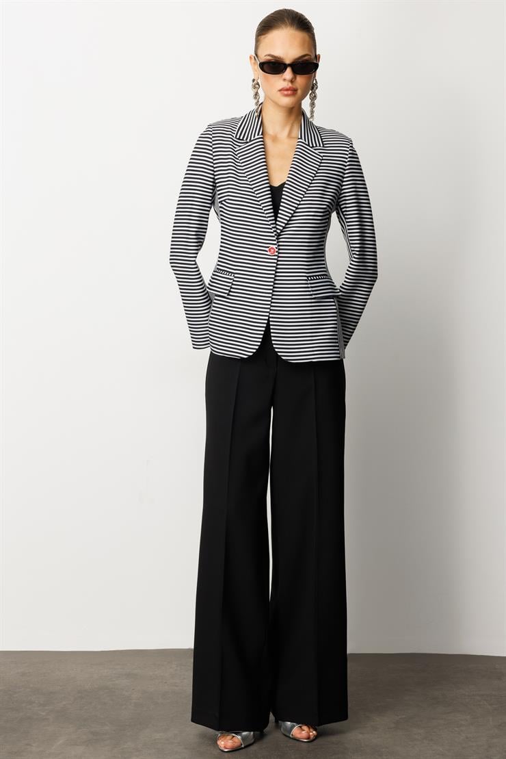 Modailgi  Kelebek Yaka Tek Düğme Kapama File Astar Çizgili Ceket Siyah