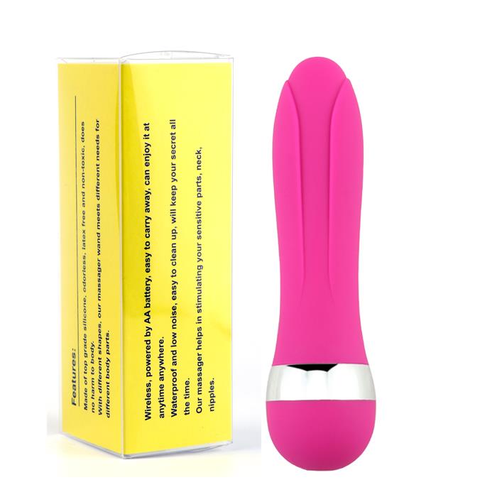 Mini Vibrator