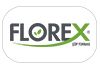 FLOREX