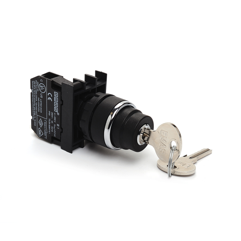 EmasEmas B101AA32 B Serisi Plastik 2NO (II-0-I) 60° Anahtarlı Çift Dönüşlü 0 Pozisyonunda Anahtarı Çıkan 22 mm Buton