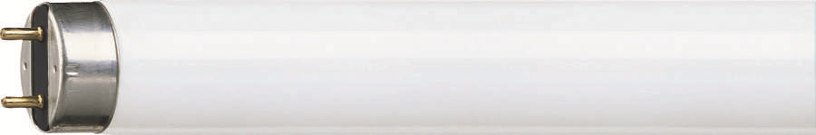 PhilipsPhilips TL-D 36W/840 Floresan Ampül G13 4000K